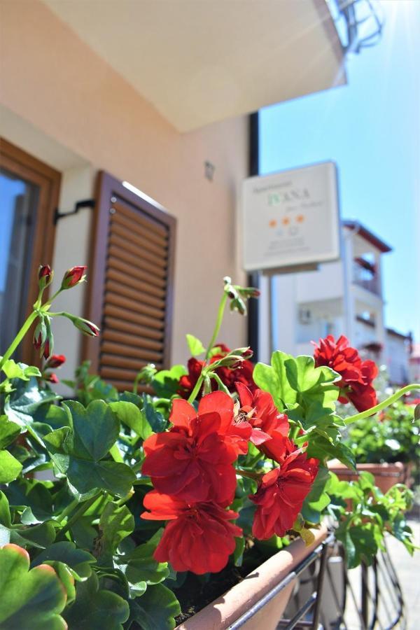 Apartments & Rooms Ivana Rovinj Pokoj fotografie