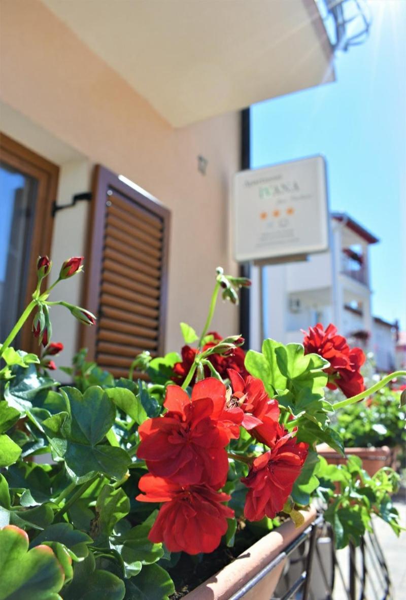 Apartments & Rooms Ivana Rovinj Pokoj fotografie